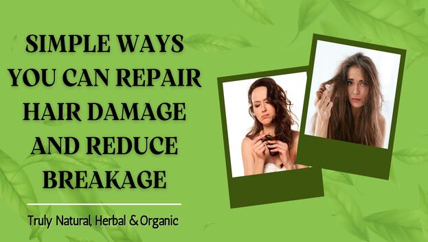 Simple Ways You Can Repair Hair Damage And Reduce Breakage Herbishh Simple Ways You Can Repair Hair Damage And Reduce Breakage Herbishh