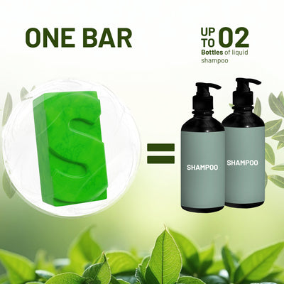 Tea Tree and Mint Shampoo Bar